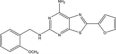 Inhibition of A2A <mark class="highlighted">Adenosine Receptor</mark> Signaling in Cancer Cells Proliferation by the Novel Antagonist TP455